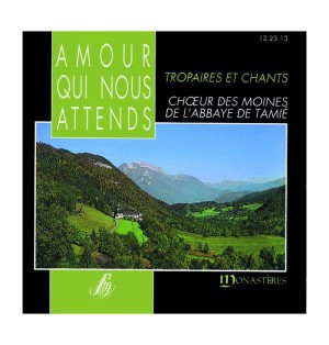 Amour Qui Nous Attends  (rare - épuisé) | CD