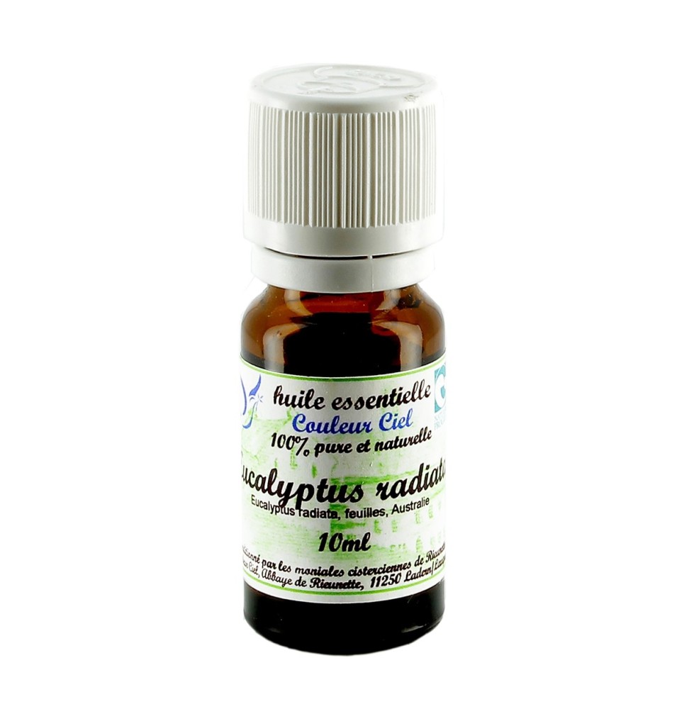 Huile essentielle bio d'eucalyptus radiata
