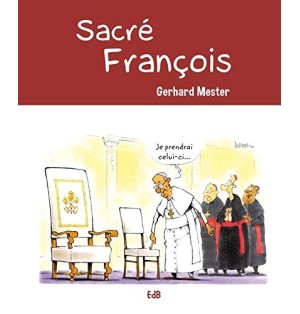 Galilée, une affaire qui tourne (BD)