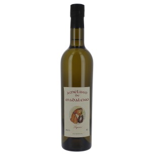 Amelino de madaleno