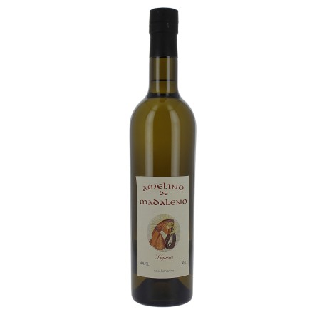 Amelino de madaleno