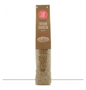 triticum turanicum grano duro