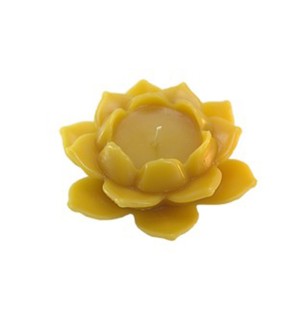 Bougie Nénuphar