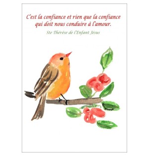 Carte Piou Confiance - (CM-CA05)