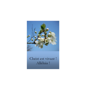 Marque page - (NE-ima-11)