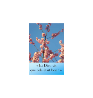 Marque page et dieu vit que cela était bon photographie artistique florale Artisanat monastique - (NE-ima-25)