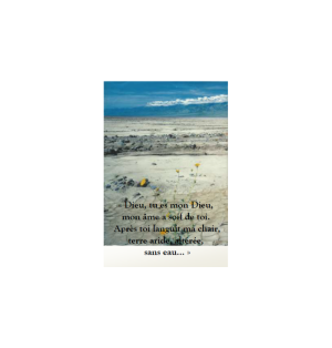 Marque page - (NE-ima-4)
