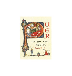 Cartes de vœux - (JO-ca13)