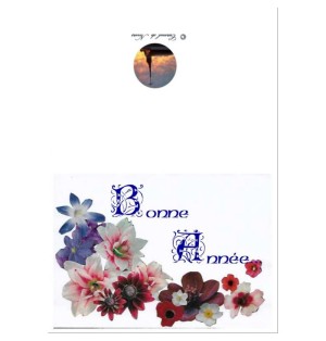 Carte de voeux nouvel an - (NE c-no 11)