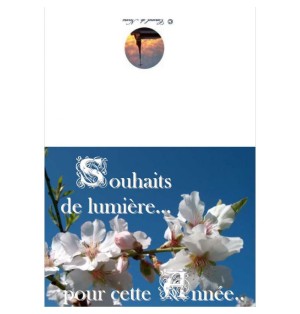 Carte de voeux nouvel an - (NE c-no 13)