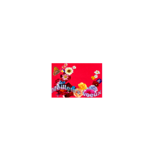 Carte de voeux - (NE c-no 21)