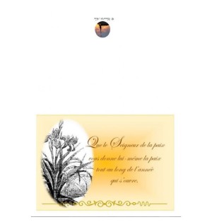 Carte de voeux nouvel an - (NE c-no 9)