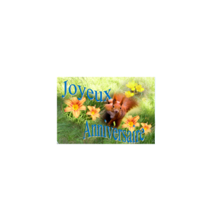 Carte anniversaire - (NE c-o 3)