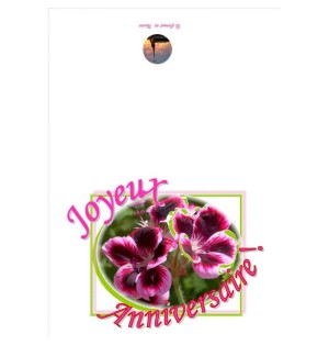 Carte de vœux anniversaire - (NE c-o 4)