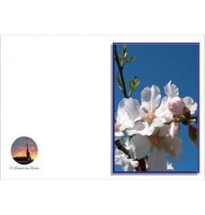 Carte Nature - (NE c-p 1)