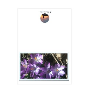 Carte nature - (NE c-p 5)
