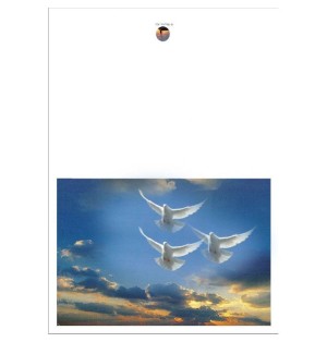 Cartes - (NE c-paq 8)