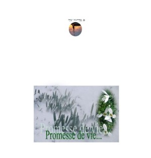 Carte amitié - (NE c-par 8)