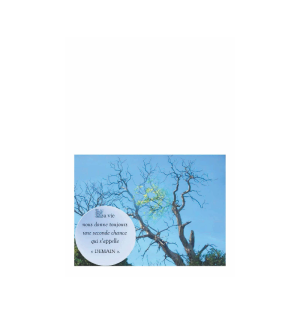 Carte amitié - (NE c-S 1)
