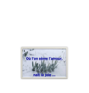 Carte amitié - (NE c-S 16)