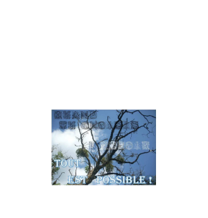 Carte amitié - (NE c-S 3)