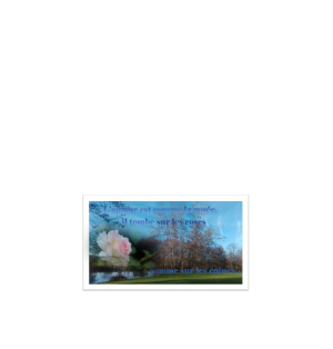 Carte amitié - (NE c-S 8)