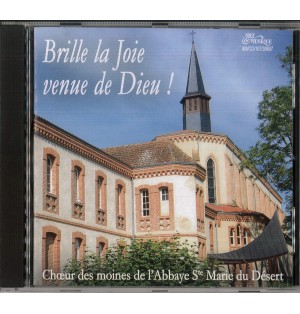 Brille la Joie venue de Dieu