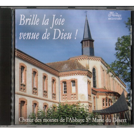 Brille la Joie venue de Dieu