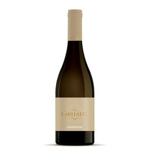 Vin blanc VIA CARITATIS ~ Chardonnay 2020