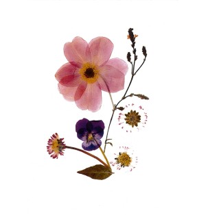 Carte Composition Florale Rose