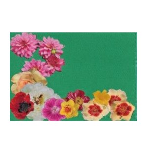 Carte florale - Fond Vert (NE c-fl U 9)