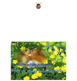 Carte de voeux anniversaire (NE c-o 9)