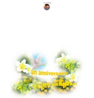 Carte de voeux anniversaire (NE c-o 10)