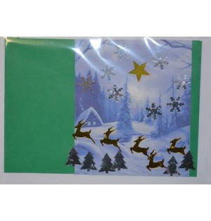 Carte paysage hivernal (NE c-3 N 26)