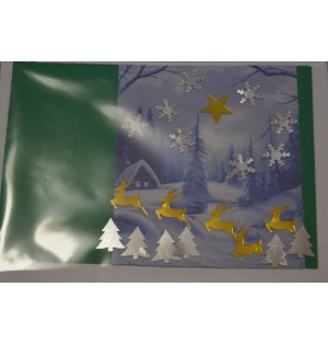 Carte paysage hivernal (NE c-3 N 27)