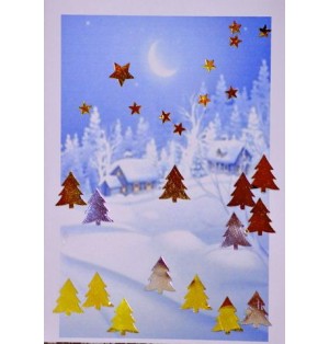 Carte paysage hivernal (NE c-3 N 17)