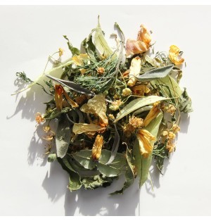 La Tisane Songe de Jacob (R7SJ)